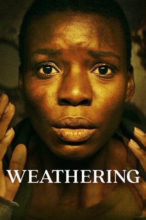 Watch Free Weathering (2023)