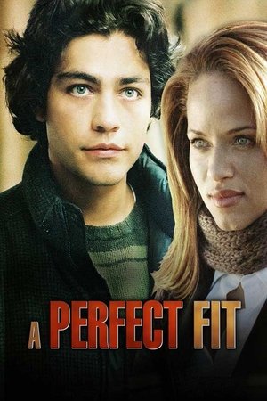 Watch Free A Perfect Fit (2005)