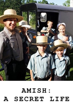 Watch Free Amish: A Secret Life (2012)