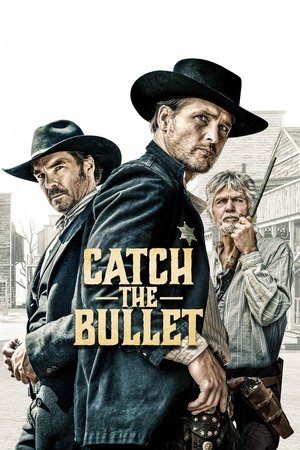 Watch Free Catch the Bullet (2021)