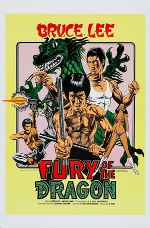 Watch Free Fury of the Dragon (1976) Bruce Lee