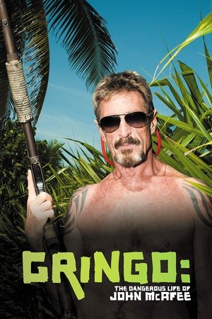 Watch Free Gringo: The Dangerous Life of John McAfee (2016)