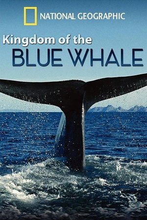 Watch Free Kingdom of the Blue Whale (2009)