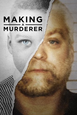 Watch Free Making a Murderer (2015 )