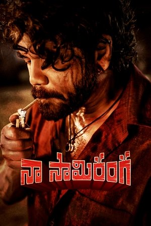 Watch Free Naa Saami Ranga (2024)