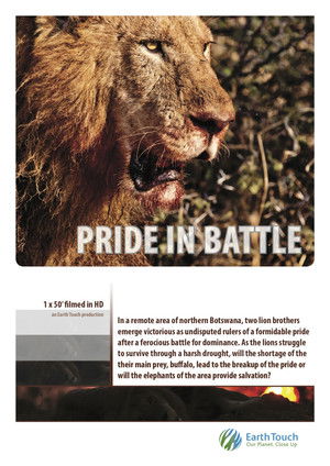 Watch Free Pride in Battle (2010)