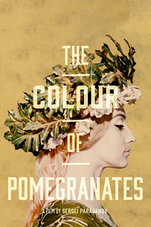 Watch Free The Color of Pomegranates (1969)