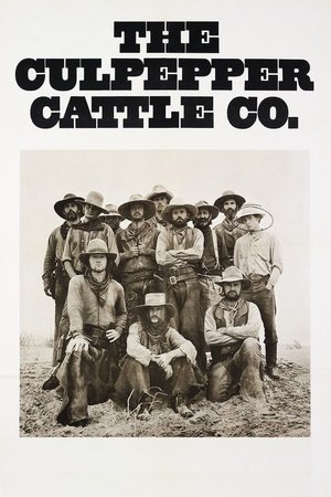 Watch Free The Culpepper Cattle Co. (1972)