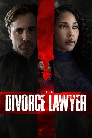 Watch Free The Divorce Lawyer (2025)