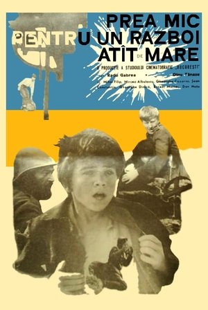 Watch Free Too Little for Such a Big War (1970)
