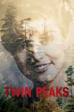 Watch Free Twin Peaks (19901991)