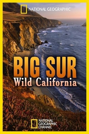 Watch Free Big Sur Wild California (2010)