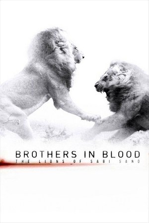 Watch Free Brothers in Blood The Lions of Sabi Sand (2015)