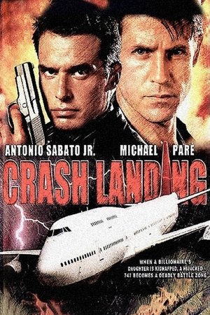 Watch Free Crash Landing (2005)