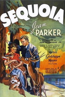 Watch Free Sequoia (1934)