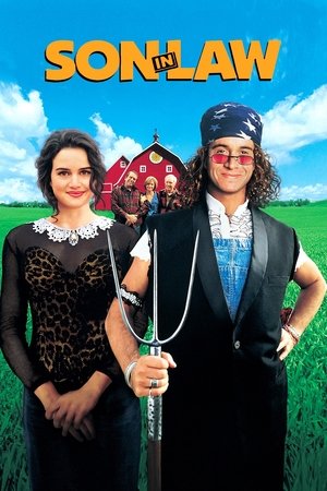 Watch Free Son in Law (1993)