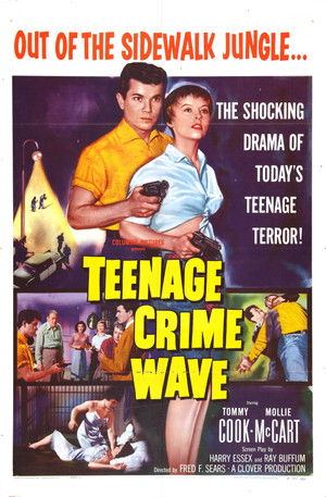 Watch Free TeenAge Crime Wave (1955)