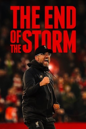 Watch Free The End of the Storm (2020)
