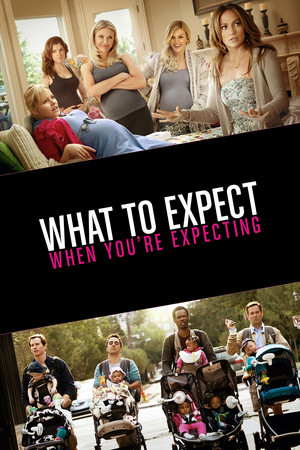 Watch Free What to Expect When Youre Expecting 2012