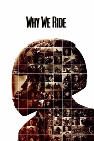 Watch Free Why We Ride (2013)
