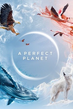 Watch Free Perfect Planet (2021 )