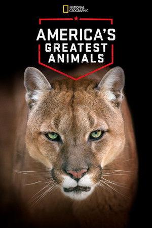 Watch Free Americas Greatest Animals (2012)