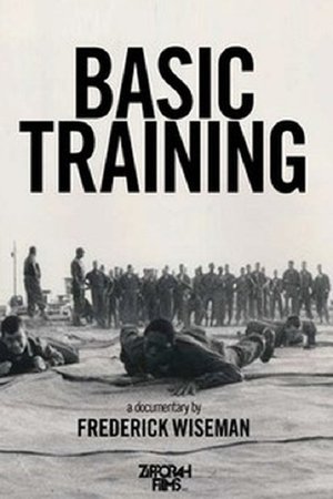 Watch Free Basic Training (1971)