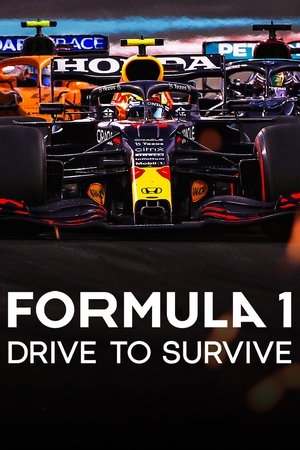 Watch Free Formula 1: Drive to Survive (2019 )