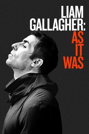 Watch Free Liam Gallagher As It Was (2019)