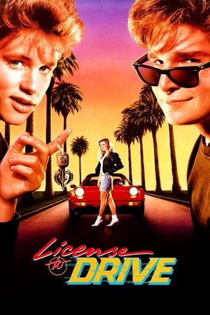 Watch Free License to Drive (1988)