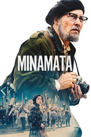 Watch Free Minamata (2020)