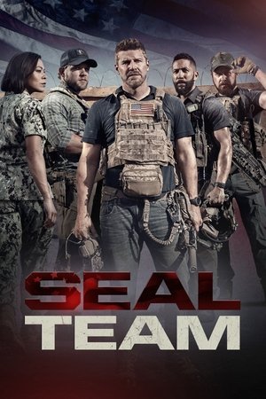 Watch Free SEAL Team (2017)