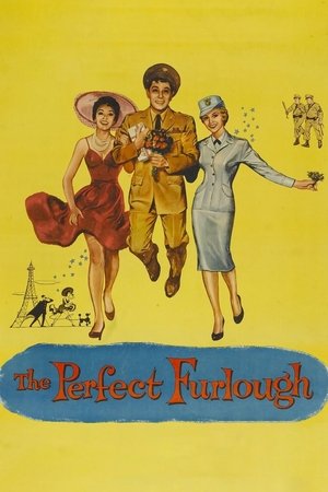 Watch Free The Perfect Furlough (1958)