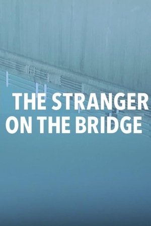 Watch Free The Stranger on the Bridge (2015)