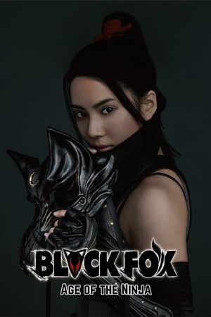 Watch Free Black Fox: Age of the Ninja (2019)