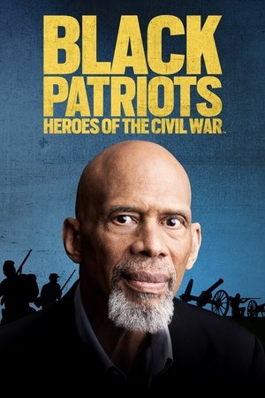 Watch Free Black Patriots Heroes of the Civil War (2022)