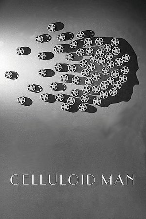 Watch Free Celluloid Man (2012)