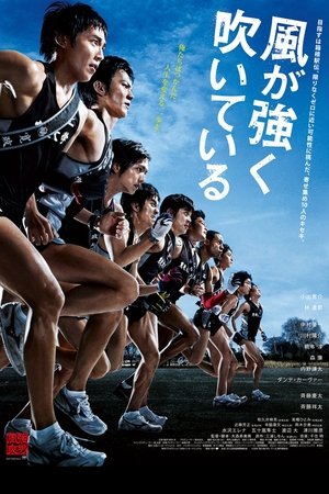 Watch Free Feel the Wind (2009)