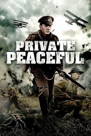 Watch Free Private Peaceful (2012)