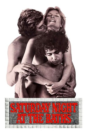 Watch Free Saturday Night at the Baths (1975)