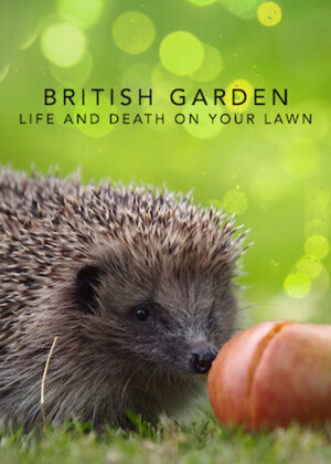 Watch Free The British Garden Life and Death on Your Lawn (2017)