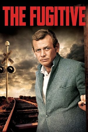 Watch Free The Fugitive (1963 1967)