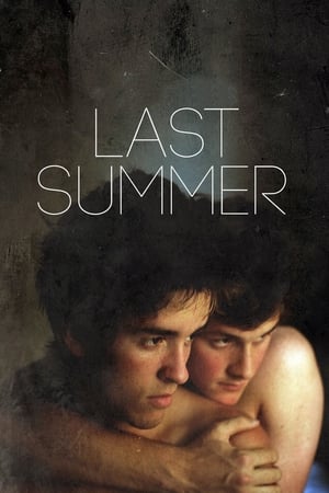 Watch Free Last Summer (2013)