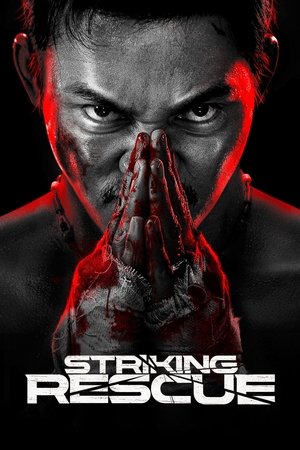 Watch Free Striking Rescue (2024)