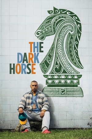 Watch Free The Dark Horse (2014)