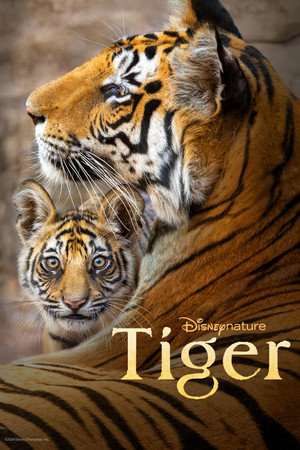 Watch Free Tiger (2024)