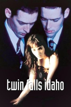 Watch Free Twin Falls Idaho (1999)
