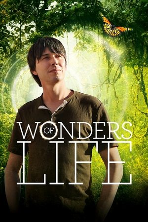 Watch Free Wonders of Life (2013 )