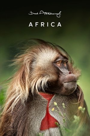 Watch Free Africa (2013)