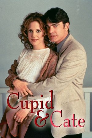 Watch Free Cupid &amp; Cate (2000)